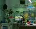 Laboratory turnkey Solution