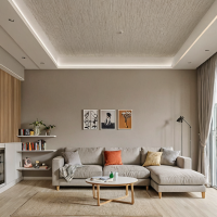 Living Room interiors